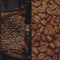 Different Roast Levels and Their Characteristics: A Comprehensive Guide to Finding the Best Coffee Beans