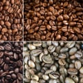 Exploring the Flavor Profiles of Robusta Beans