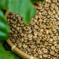 Origin and Characteristics of Robusta Beans