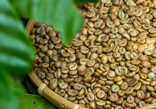 Origin and Characteristics of Robusta Beans